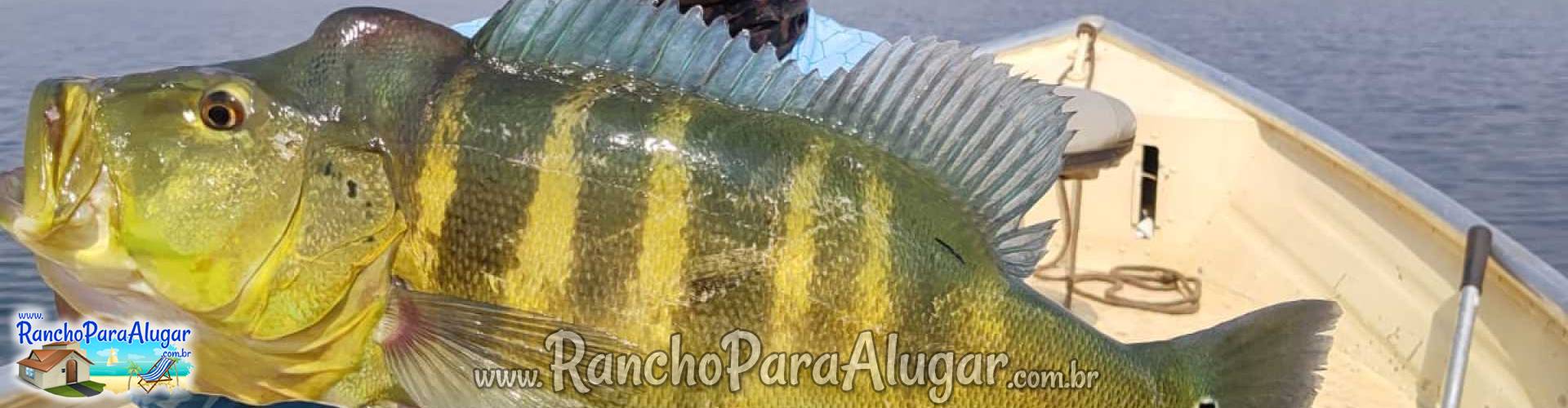 Chupa Cabra Guia de Pesca e Piloteiro em Miguelopolis