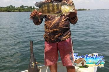 Naldo Piloteiro Guia de Pesca e Piloteiro em Miguelopolis - Naldo Piloteiro Guia de Pesca e Piloteiro em Miguelópolis