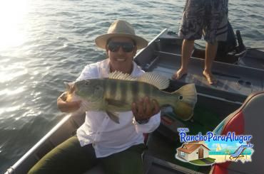 Barcos Alugar Imperial Guia de Pesca e Piloteiro em Miguelopolis - Barcos para Alugar Imperial Guia de Pesca e Piloteiro em Miguelópolis