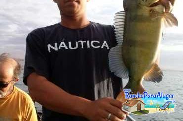 Barcos Alugar Imperial Guia de Pesca e Piloteiro em Miguelopolis - Barcos para Alugar Imperial Guia de Pesca em Miguelópolis SP