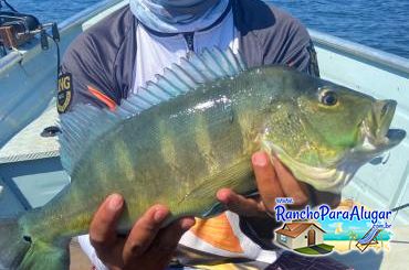 Rodrigo Guia de Pesca e Piloteiro em Miguelopolis - Pesca Esportiva